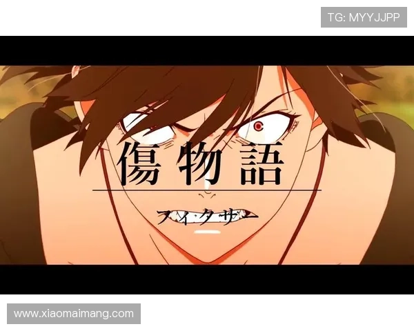 伤物语剧场版之恋与命运的交织少年与少女的血色禁忌之旅