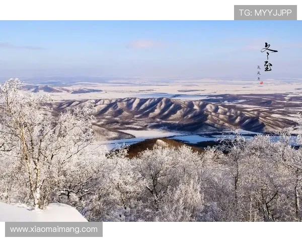 繁花落尽,一枝梅独自傲雪:那些让人心碎又欲罢不能的结局
