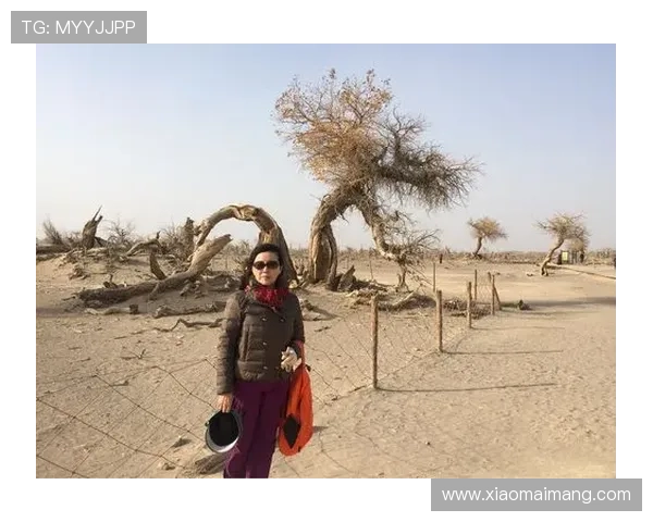 她从海上来:海的女儿,不只是传说