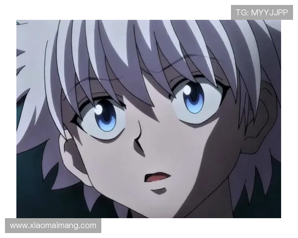 《全职猎人》：不止热血，更藏着你我的人生哲理